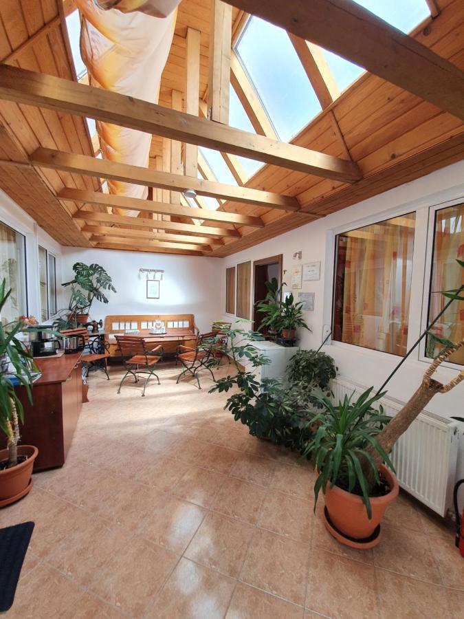 Casa Terezia Hotell Braşov Exteriör bild